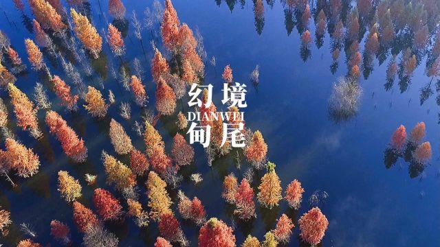 嘉日单词